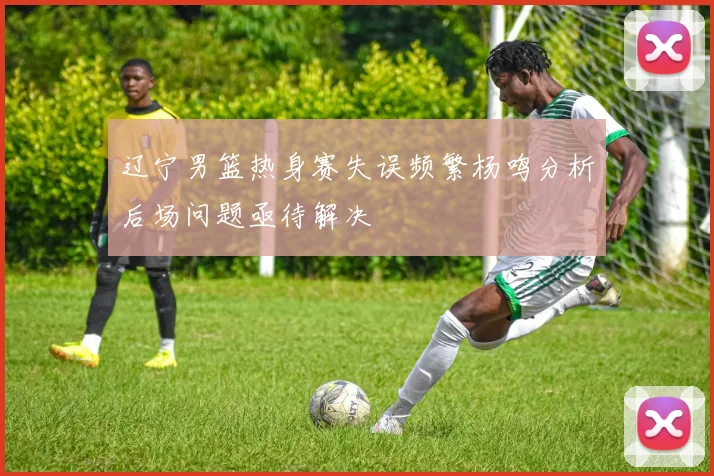 辽宁男篮热身赛失误频繁杨鸣分析后场问题亟待解决