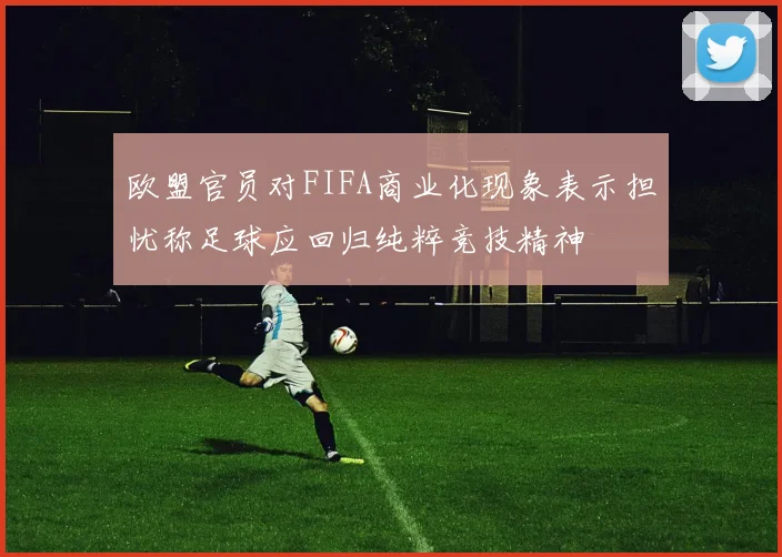 欧盟官员对FIFA商业化现象表示担忧称足球应回归纯粹竞技精神