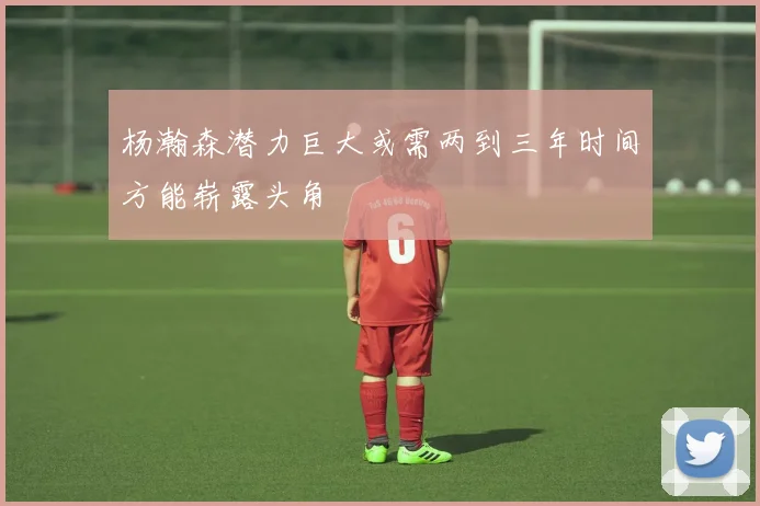 杨瀚森潜力巨大或需两到三年时间方能崭露头角